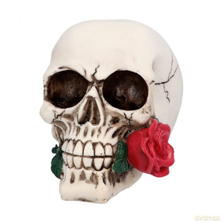 Boland: Pc. Skull Casanova (9.8 X 10.5 X 13.5 Cm) H