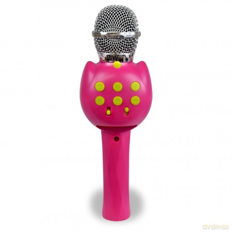 Bontempi 41 2871 - Microfono Karaoke Wireless. (Igirl)