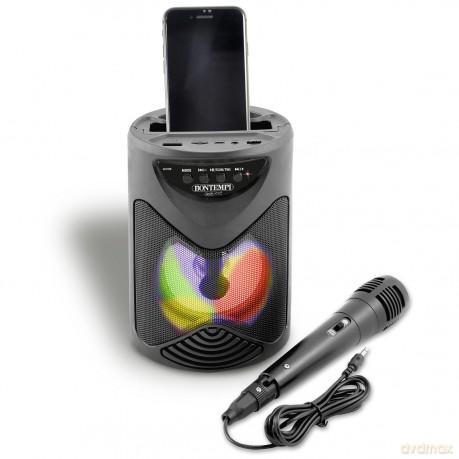 Bontempi 49 1010: Amplificatore Wireless Con Microfono Dinamico, Effetti Luminosi Ed Effetto Eco