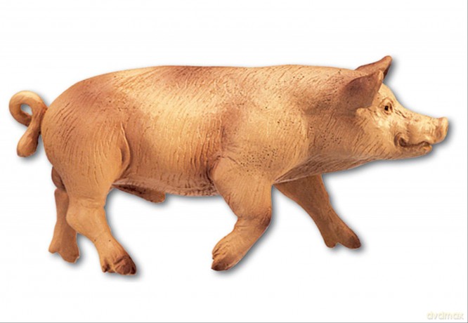 Bullyland: Fattoria - Cinghiale