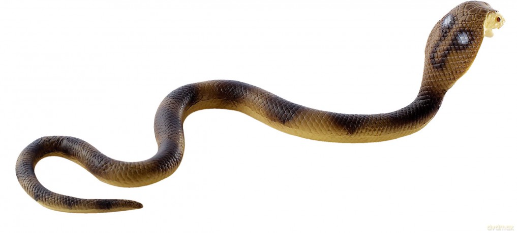 Bullyland: Ragni E Rettili - Cobra