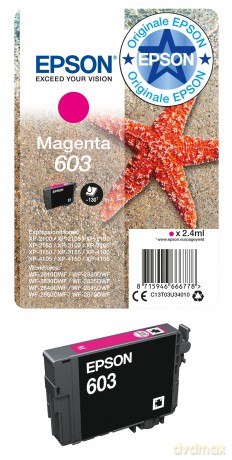 Cart.Inch Magenta 603 Stella Marina