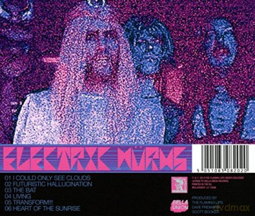 Elektrik Wurms: Musik Die Schwer Zu Twerk [CD]