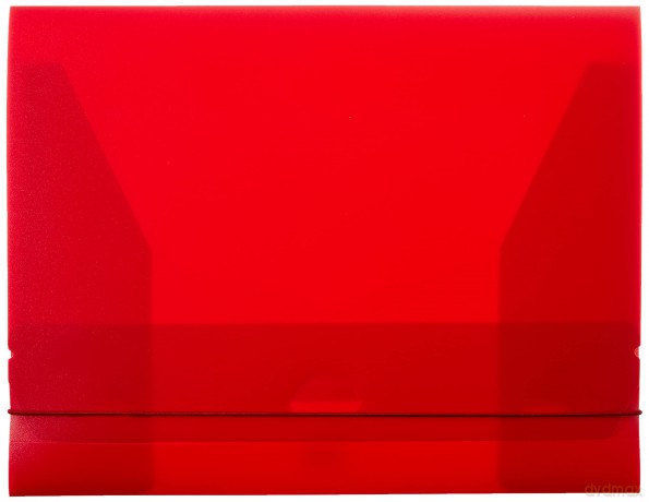 Cartella Progetto Dorso 3 Rosso