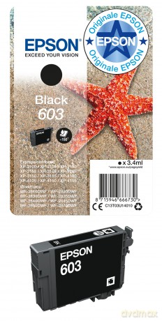 Cartucce Ink Ananas Black 604