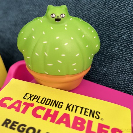 Catchables 2-Pack Gatto Nel Sacco