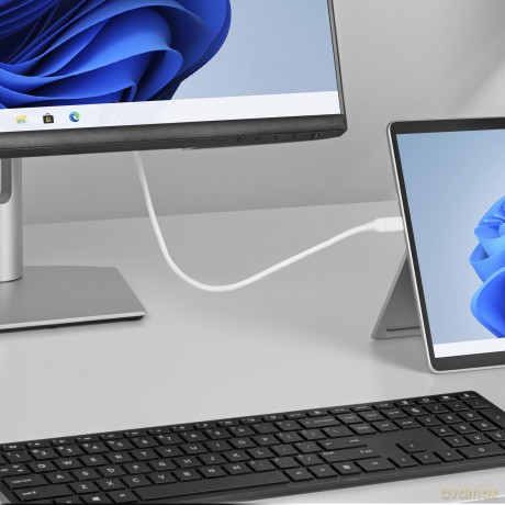 Cavo Usb-C A Displayport Da 2m