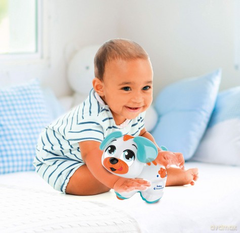 Cercacoccole Cagnolino