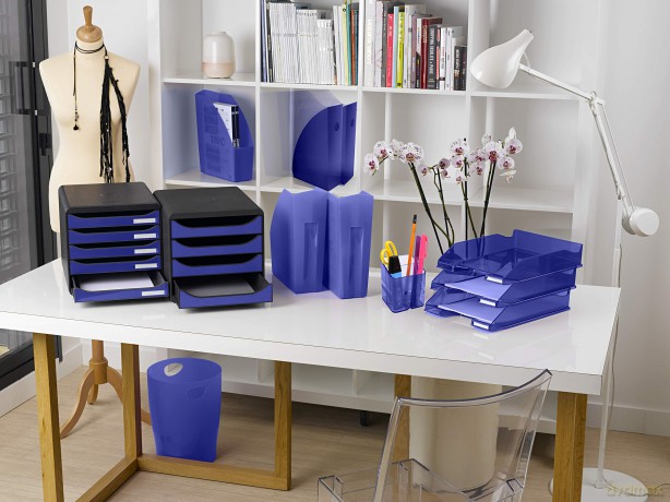 Cestino Gettacarte Ecobin Blu
