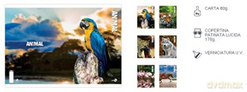Cf 10 Quaderni Animal A4 80gr R.1r
