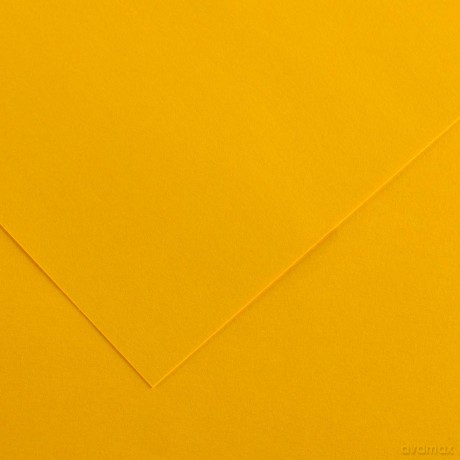 Cf Fg25 Iris Vivaldi Fuoco 21x29 7
