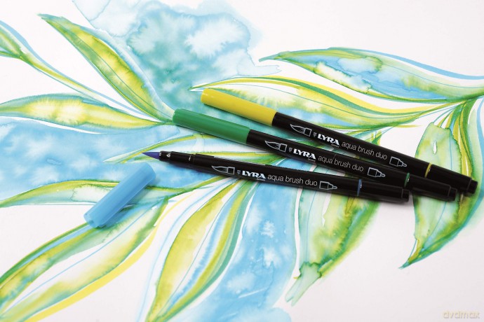 Cf10 Aqua Brush Duo Bruno Van Dy