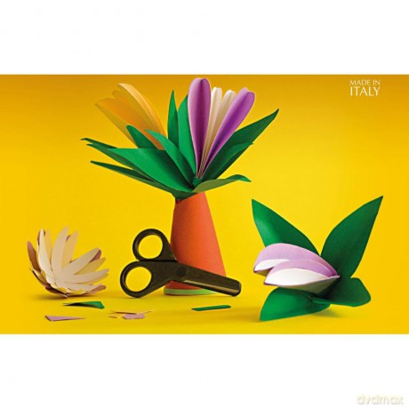 Cf10 Lr Brina-70x100