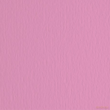 Cf10 Lr Fucsia-70x100