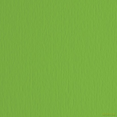 Cf10 Lr Verde-70x100