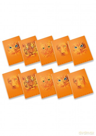 Cf10 Orange A4 100gr R.5m Ff38