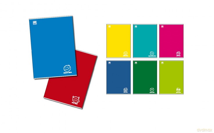 Cf10 Quaderni Colorface A4 100g 1r