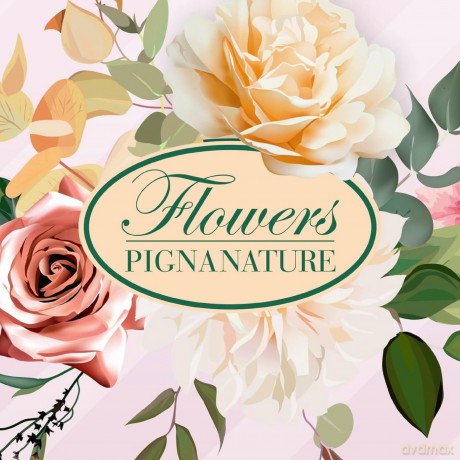 Cf10 Quaderni Flowers A4 4m 80gr