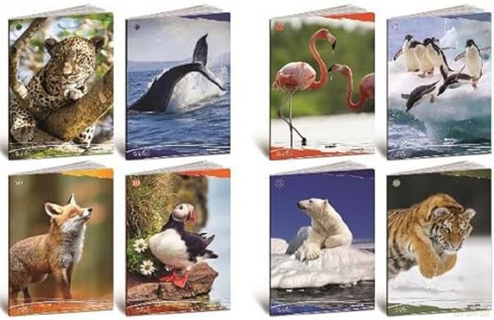Cf10 Quaderno Animali 100g A4 0a