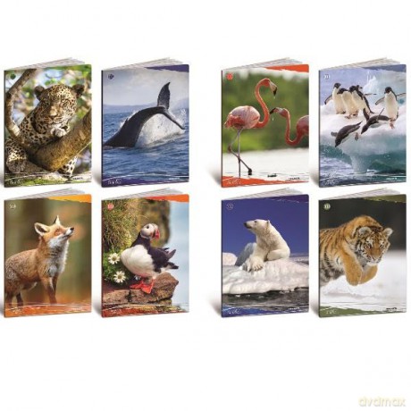 Cf10 Quaderno Animali 100g A4 0b