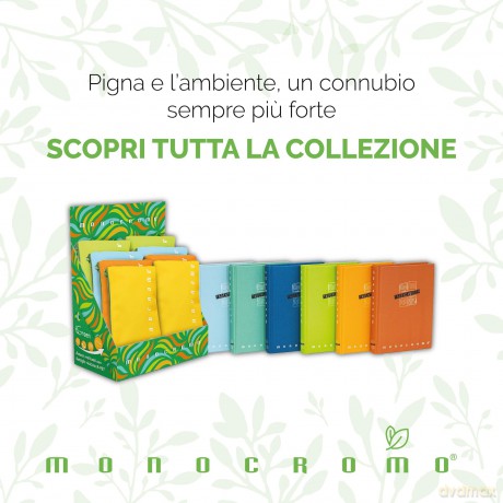 Cf10 Quaderno Monocromo Green 5m