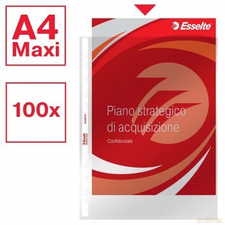 Cf100buste Deluxe Lucida 22x30