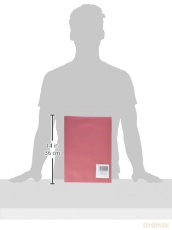 Cf100cartelline Sempl Pannose Rosso