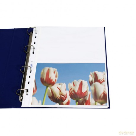 Cf10buste Fora. Univ P.Foto 21x15