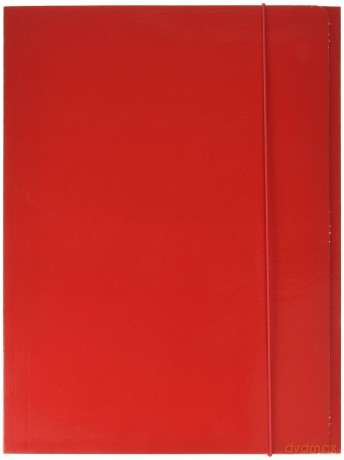 Cf10cartelle 3lembi C/Elast Rosso