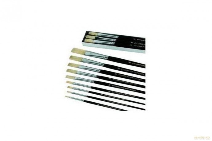 Cf12 Pennelli Pura Setola