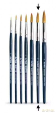 Cf12 Pennelli Serie 500 Taklon NÂ°10