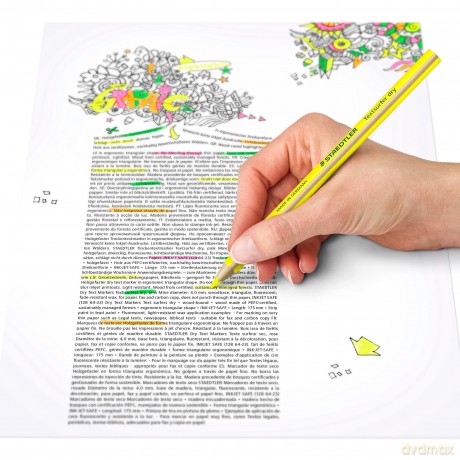 Cf12evidenziatori Textsurfer Dry Ve