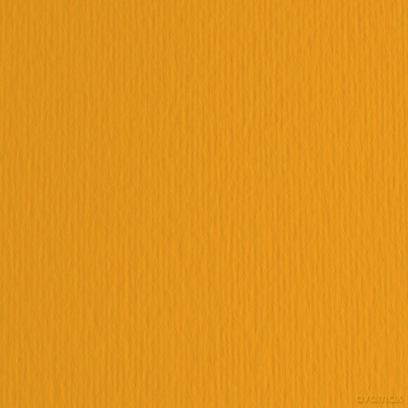 Cf20 Lr Aragosta-50x70