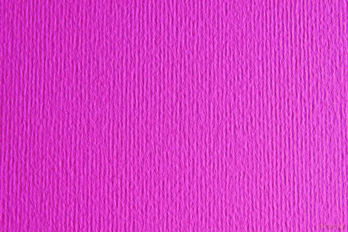 Cf20 Lr Fucsia-50x70