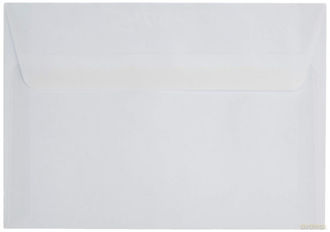 Cf25 Buste Leyla Sf 11.4x16 2cm