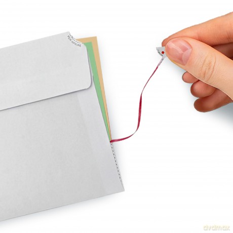 Cf25 Buste Strip S/Fin11x23cm
