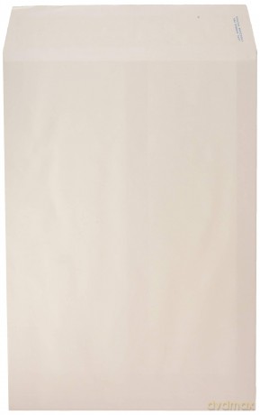 Cf250 Buste Sacco Bianche 25x35.2