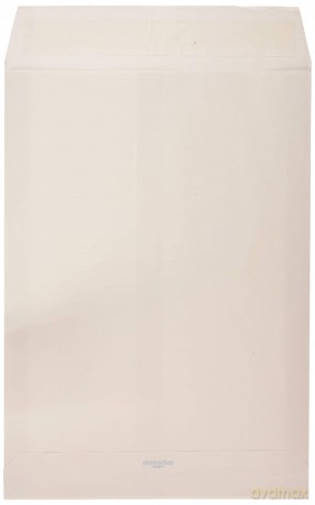 Cf250 Buste Sacco Bianche 25x35.2