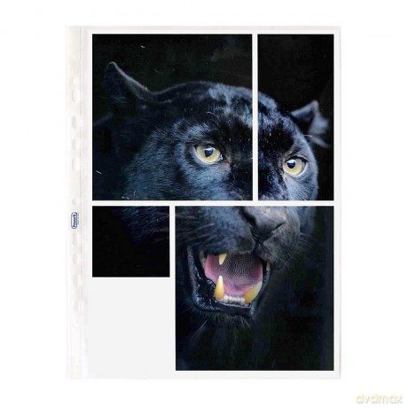 Cf25buste For.Un.Superior 25x35 Lis