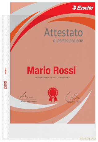 Cf25buste Office Goffrata 22x30