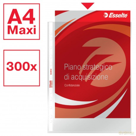 Cf300buste Deluxe Lucida 22x30
