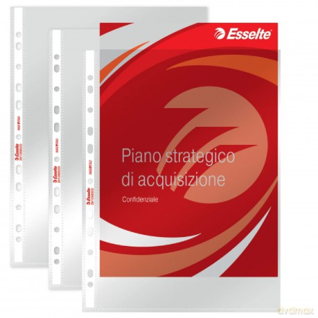 Cf300buste Deluxe Lucida 22x30