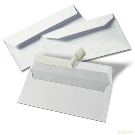 Cf40 Buste Strip S/Fin11x23cm