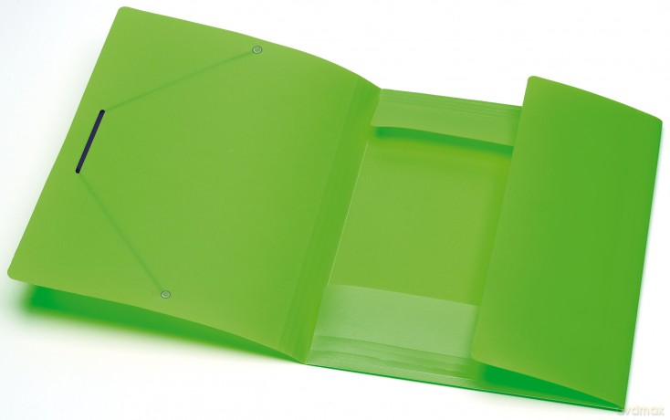 Cf4cartelle Elas Incr File Ass.Fluo