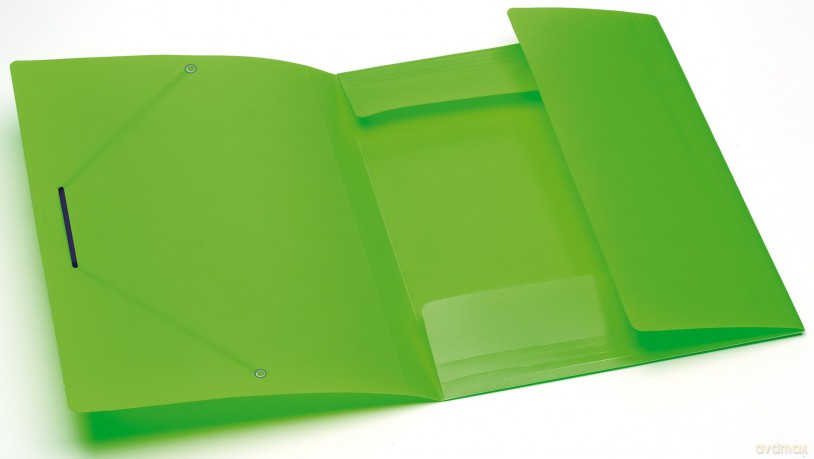 Cf4cartelle Elas Incr File Ass.Fluo
