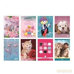 Cf5 Bambina80 Gr 5m A4