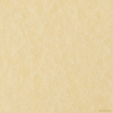 Cf50 Fogli Pergamena A4 90g Crema