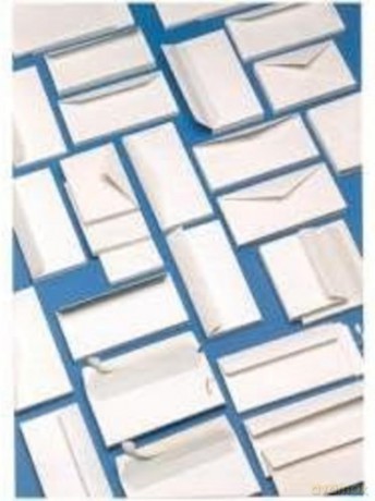 Cf500 Buste Strip S/Fin11x23cm