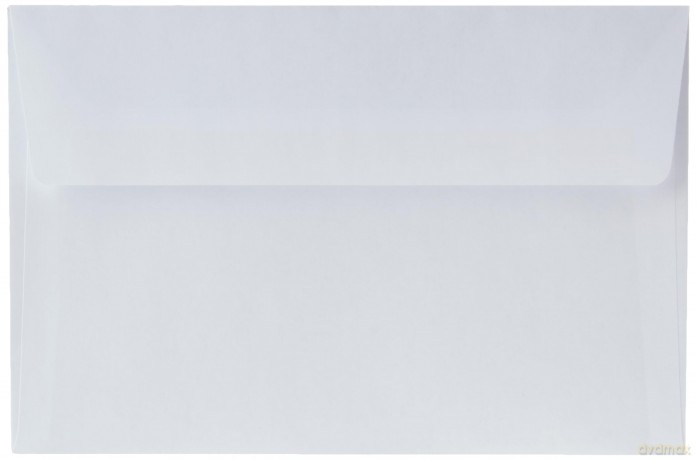 Cf500 Buste Strip S/Fin12x18cm
