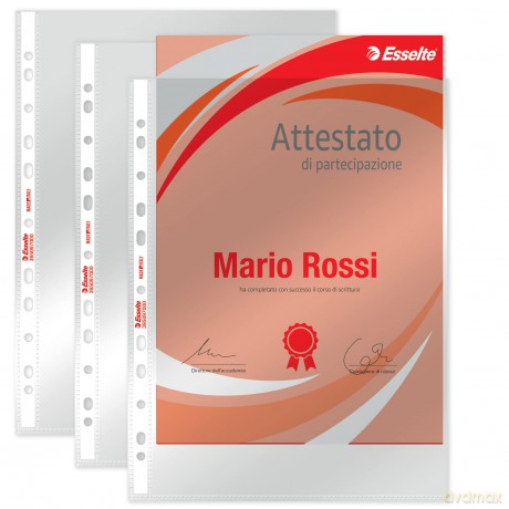 Cf50buste Office Lucida 22x30